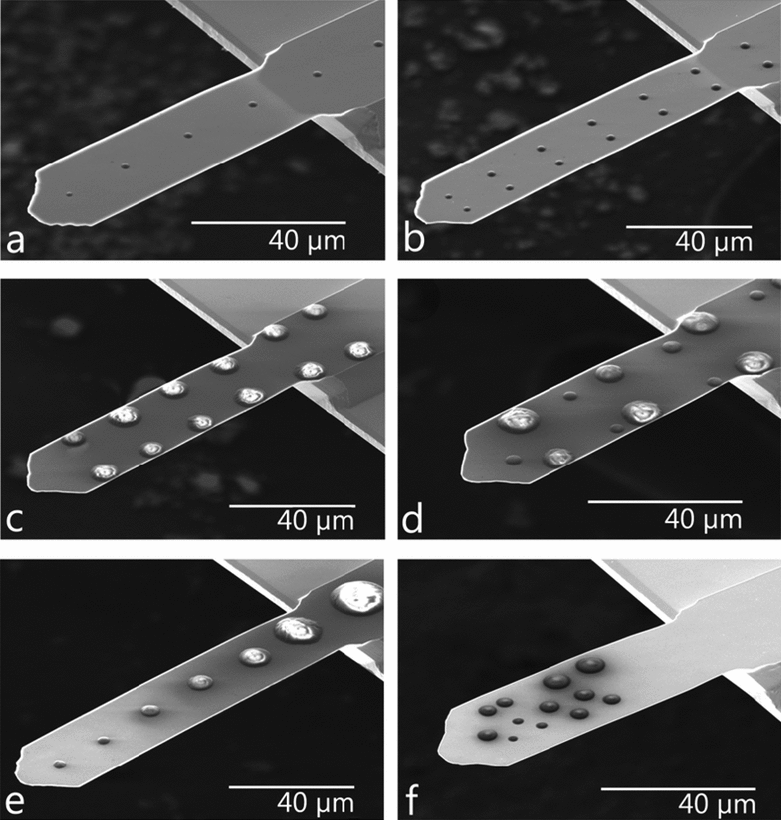Several tipless microcantilevers with printed patterns of polyethylene that demonstrate the ability to control the diameter and position of droplets deposited onto microcantilevers. (a) A single line of 2 Formula diameter droplets printed with a 5 Formula pipette. (b) Two parallel lines of 3 Formula diameter droplets printed with a 5 Formula pipette. (c) Two parallel lines of 9.5 Formula average diameter droplets printed with a 10 Formula pipette. (d) Two parallel lines of alternating large and small diameter droplets. (e) A single line of deposited droplets that incrementally increase in diameter from 4 to 18 Formula. (f) A combination of deposited droplets with changes in diameter, position, and spacing.