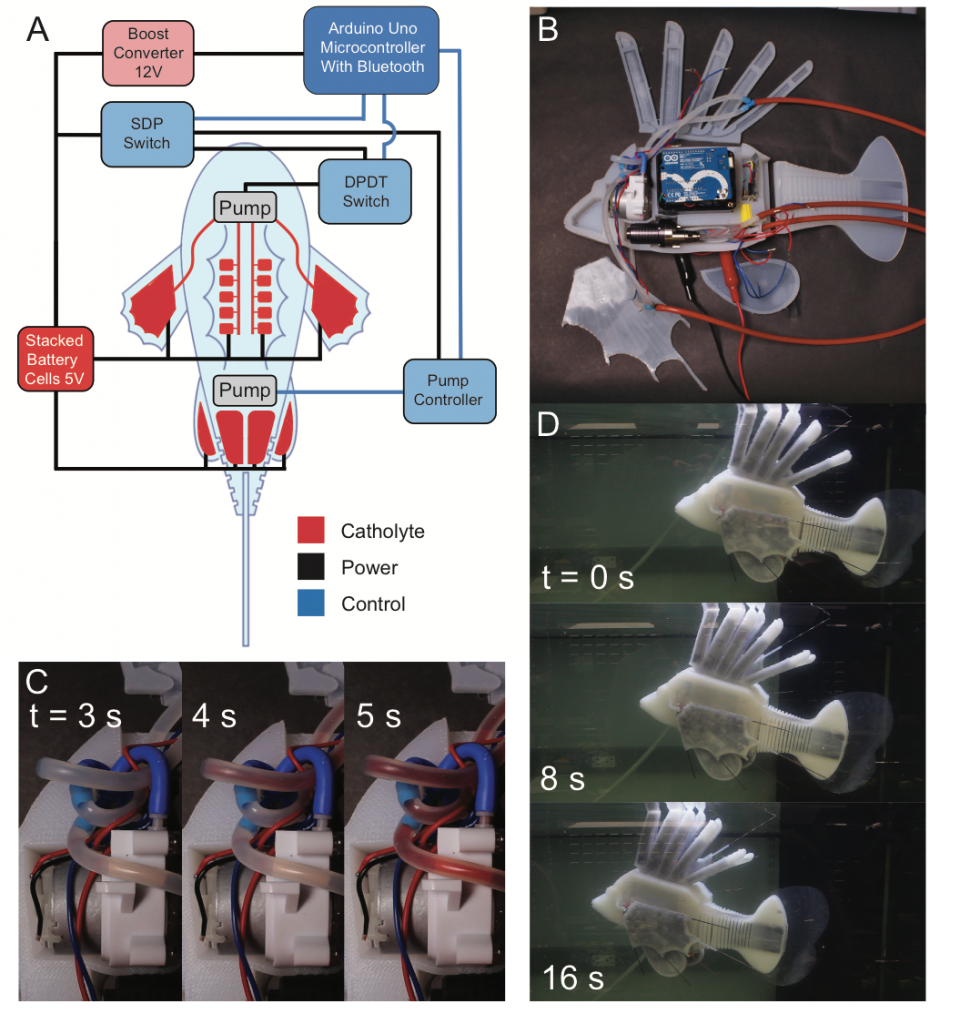 This Robotic Fish Is Powered by a 'Blood' Battery